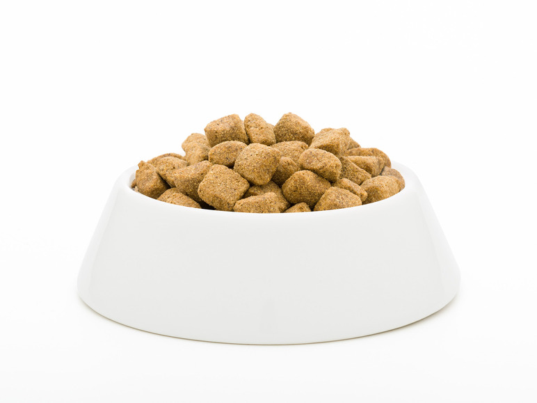 Gehe zu Vollbildansicht: JosiDog Hundetrockennahrung Solido, 18 kg - Bild 2