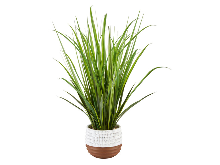 Gehe zu Vollbildansicht: Pureday Kunstpflanze Schilf/Gras, ideal für dunkle Ecken - Bild 4