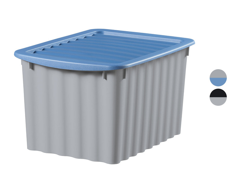Graue Aufbewahrungsbox mit blauem Deckel