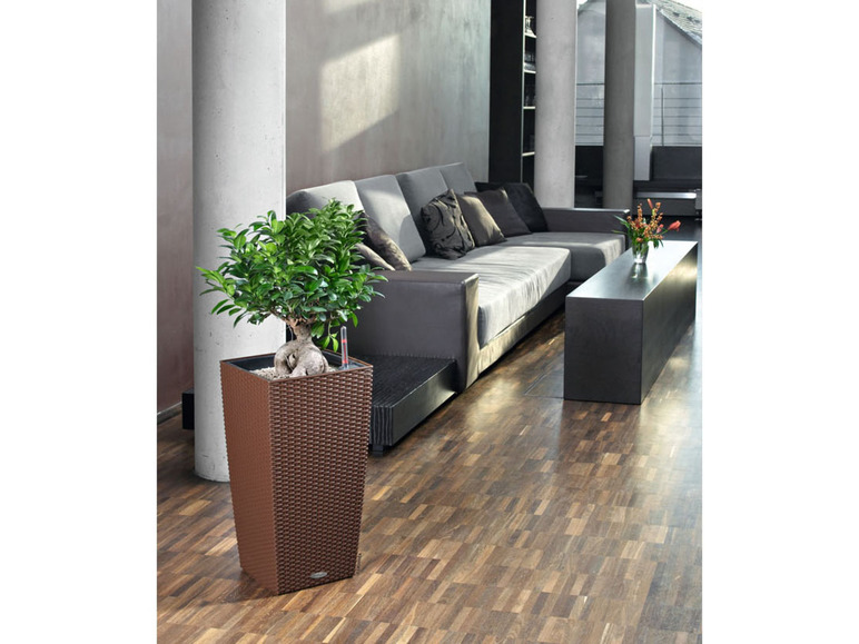 Eine Pflanze in einem braunen Lechuza Topf in einem modernen Interieur.