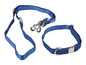 Blaues Hundehalsband und Leine von Zoopfari.