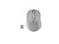 TRONIC Funkmaus mit USB-Empfänger in Grau
