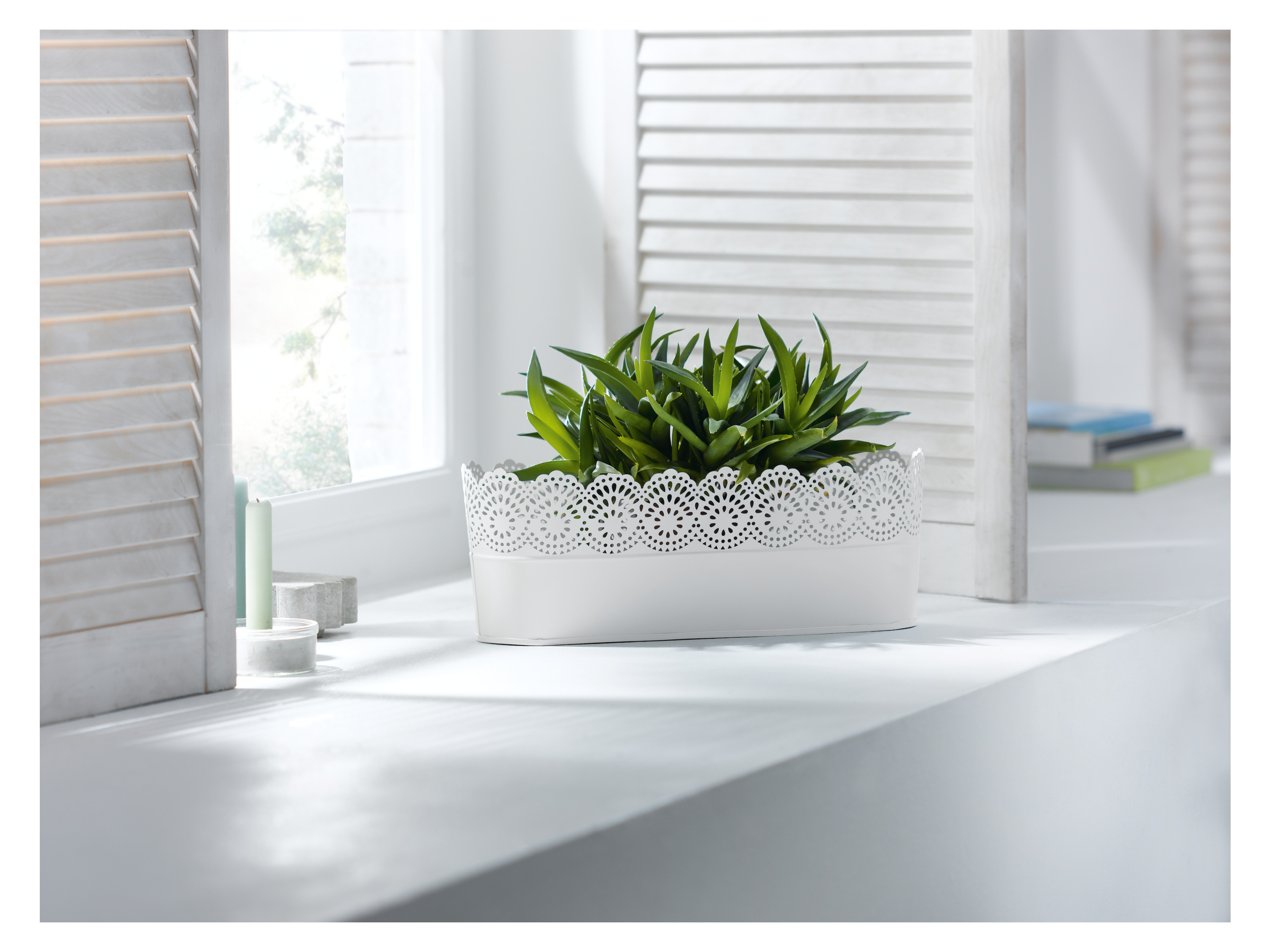 Thumbnail - LIVARNO home Blumentöpfe Nostalgie (oval groß weiß)