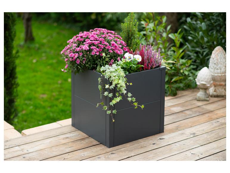 Dunkelgrauer quadratischer Pflanzkübel mit rosa Chrysanthemen und anderen Pflanzen auf einer Holzterrasse.