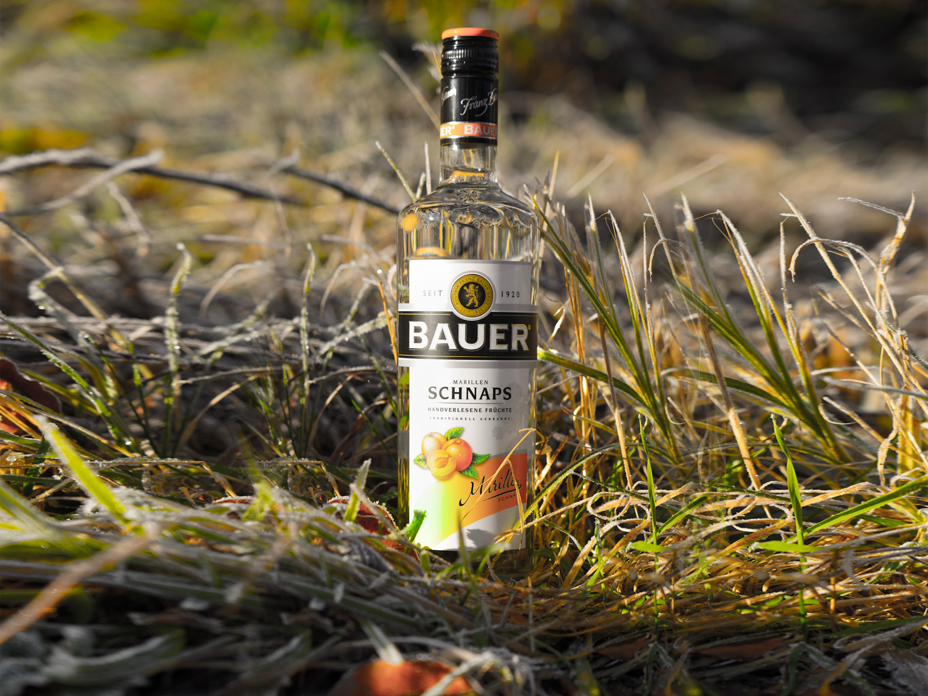 Thumbnail - Bauer Marillen Schnaps 36% Vol