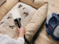 Hand-Teppichreiniger reinigt ein schmutziges Hundebett.