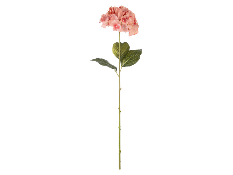 Gehe zu Vollbildansicht: LIVARNO home Kunstpflanze Rose / Hortensie - Bild 5
