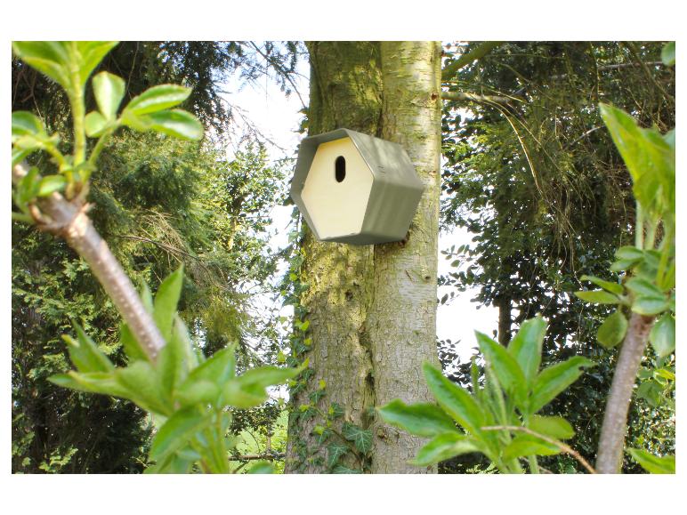 Modernes Vogelhaus an einem Baumstamm, umgeben von üppiger Vegetation.