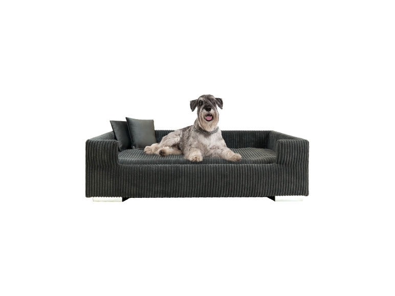 Dunkelgraue Cord-Hundebett mit Kissen.