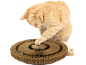 Roter Kater spielt mit einem interaktiven Katzen-Kartonspielzeug.