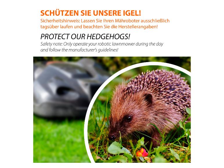 Ein Igel im Gras mit einem unscharfen Mähroboter im Hintergrund, mit Text zum Schutz von Igeln.