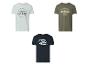 Drei Herren-T-Shirts mit kurzen Ärmeln: hellblau, oliv und dunkelblau mit Aufschriften.