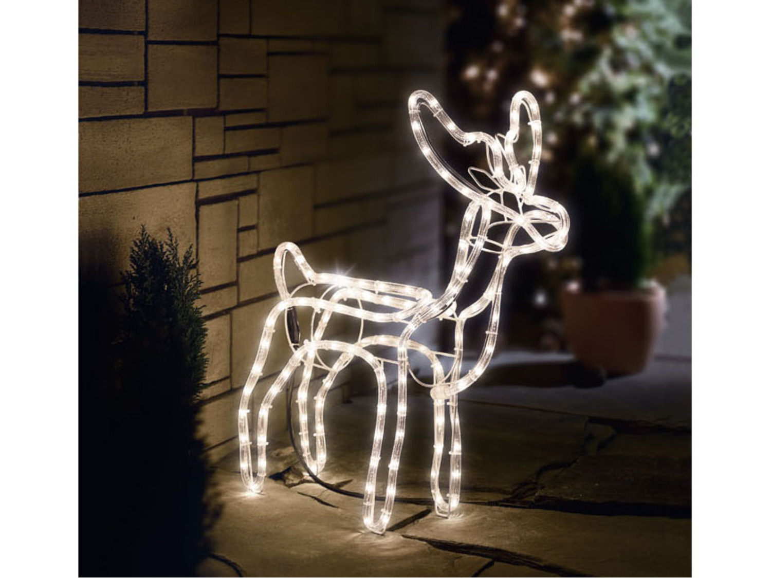 LIVARNO home 3D-Lichterschlauchfigur, für innen und au… | Gartenbeleuchtung