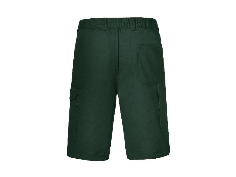 Dunkelgrüne Cargoshorts, Rückseite.