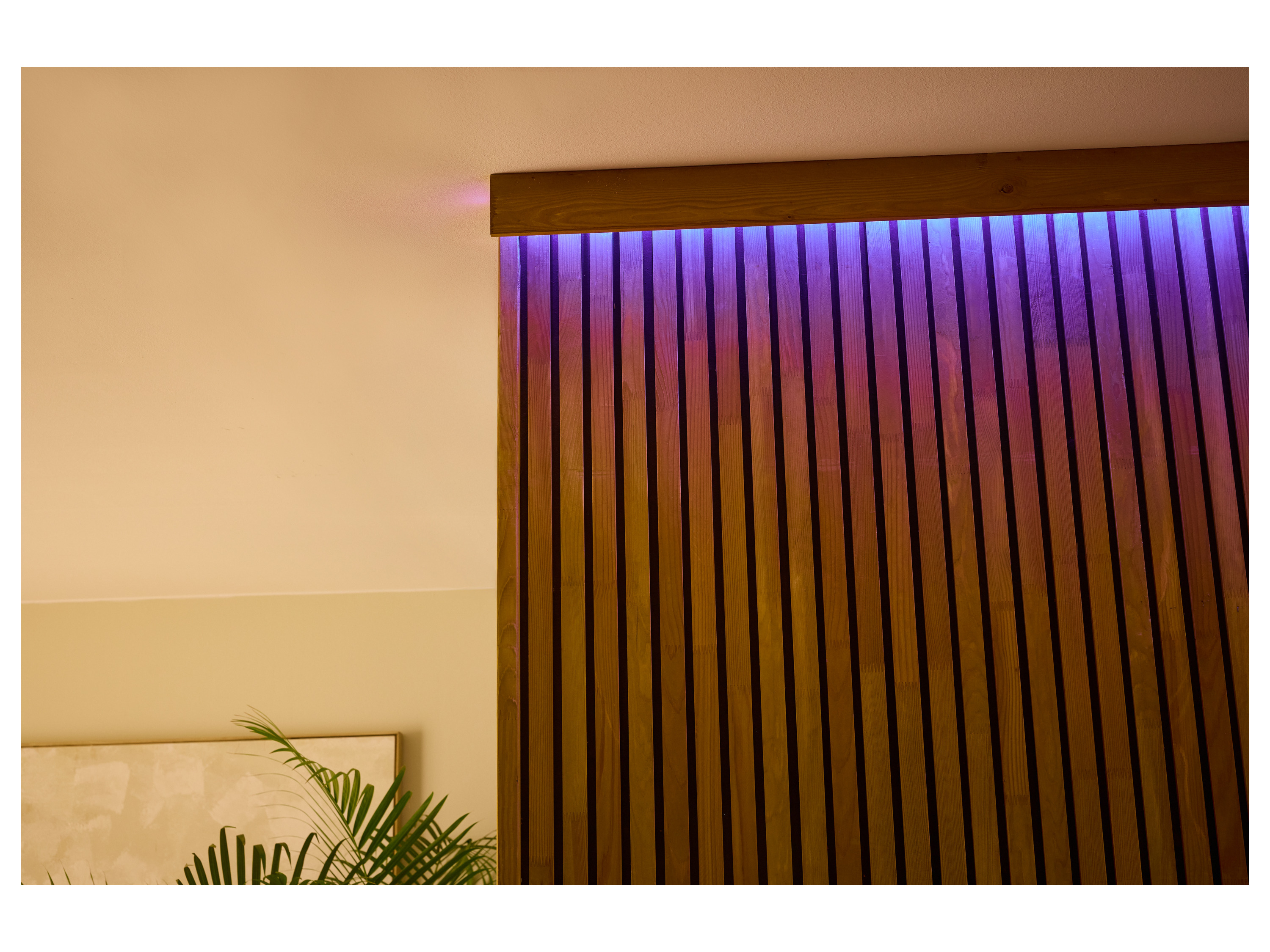 Thumbnail - LIVARNO home LED-Band, 5 m, mit Farbwechsel