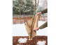 Hände umwickeln einen jungen Baum mit Jute zum Winterschutz, auf schneebedecktem Boden.