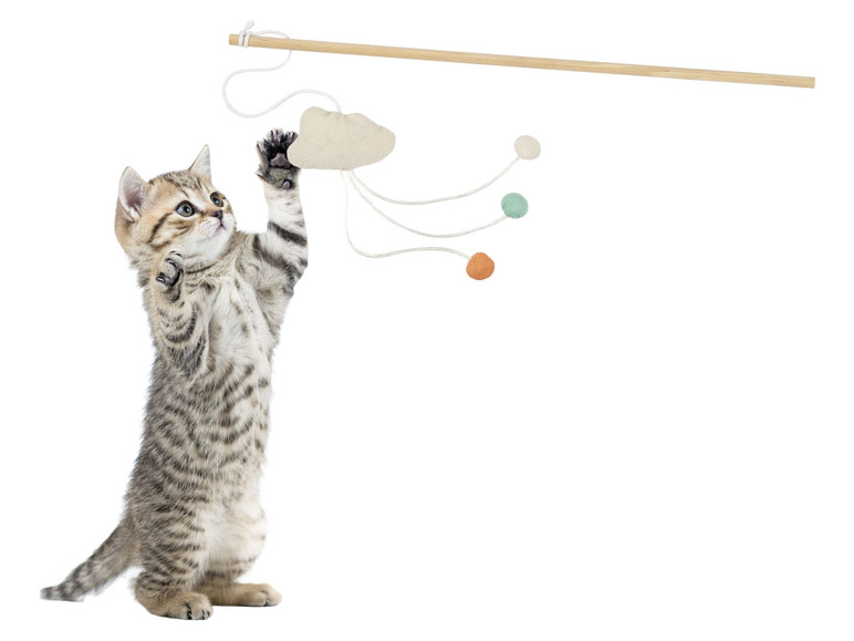 Gehe zu Vollbildansicht: zoofari® Katzenspielzeug, 5-teilig, mit Katzenminze - Bild 6