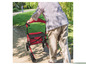 Eine Person schiebt einen roten Rollator mit Sitz im Park.
