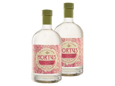 2 x 0,5-l-Flasche Spirituosenpaket Rhabarber & Ingwer Gin Likör 20% Vol