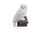 Figur der Schnee-Eule Hedwig auf einem Bücherstapel aus der Serie NIKE Magische Kreaturen.