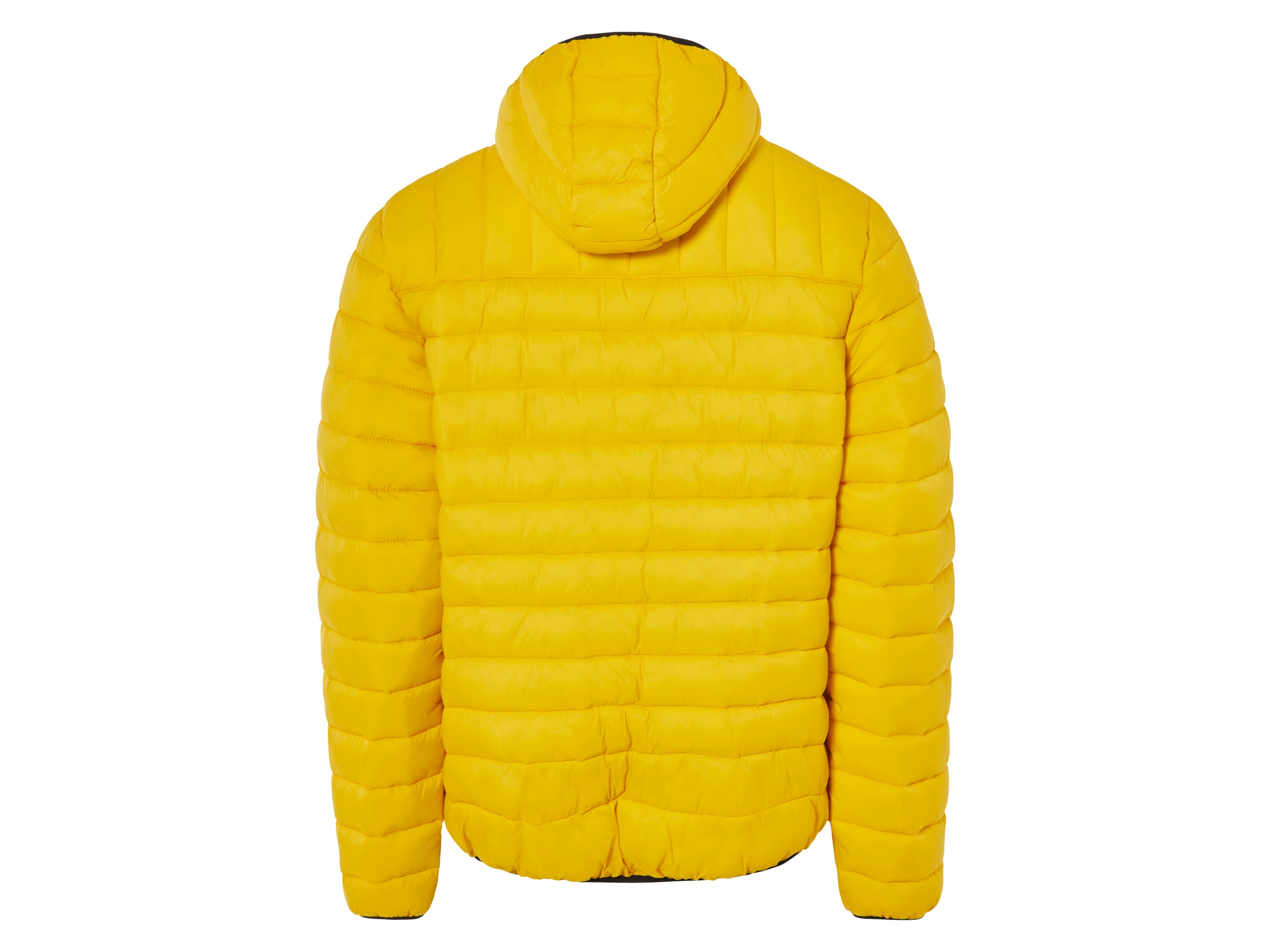 Thumbnail - LIVERGY® Herren Jacke Lightweight (Gelb, L (52/54))