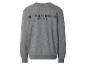 Graues Sweatshirt mit dem Schriftzug „STRENESSE BLUE“ auf dem Rücken.