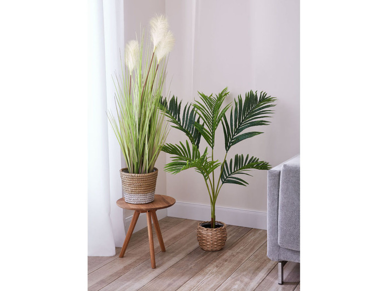 Gehe zu Vollbildansicht: Livarno Home Kunstpflanze, für den Innenraum - Bild 6