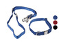 Ein blaues Hundehalsband und eine Leine von ZooFari.