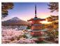 Eine rote Pagode in Japan mit Blick auf den Fuji und blühende Kirschbäume.