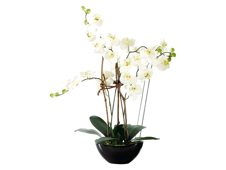 Gehe zu Vollbildansicht: Pureday Kunstpflanze »Orchideentopf«, täuschend echt - Bild 7