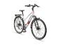 Graues E-Bike mit Gepäckträger und rotem Akzent.