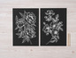 Zwei schwarze Karten mit weißen Blumen, darunter Rosen und Pfingstrosen, und zwei Bleistifte.