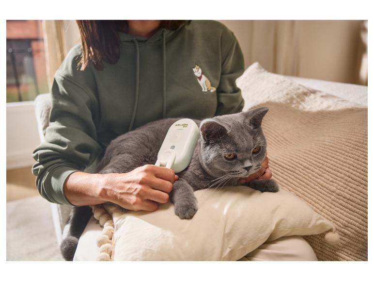 Frau bürstet Katze mit weißer Bürste, Katze ist grau, Frau trägt grünen Hoodie.