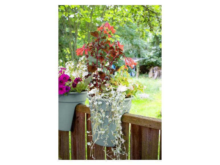 KHW Balkonkasten Flowerclip, 3er Set | Lidl