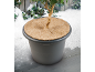 Pflanztopf mit Pflanze und Kokosmatte vor verschneitem Gartenhintergrund.