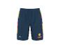 Dunkelblaue Sportshorts mit bunten Seitenstreifen und Logo am Bein.
