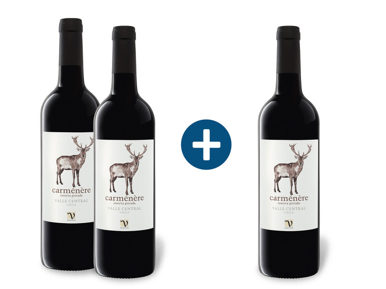 2+1 Paket VIAJERO Carménère Reserva Privada Valle Central Chile trocken, Rotwein