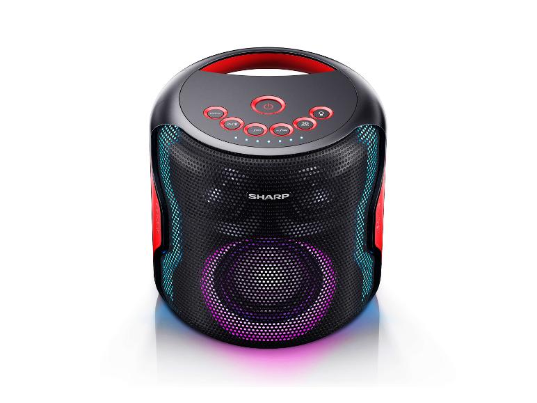 Tragbarer Party-Lautsprecher mit Griff, LED-Beleuchtung und Bedientasten