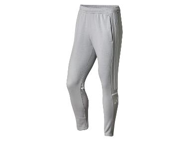 Herren Sweathose (Grey, L)