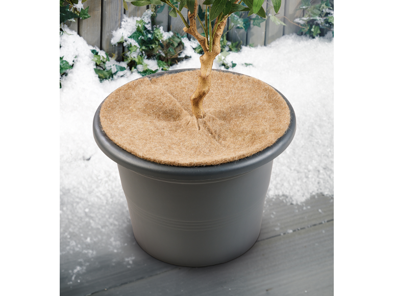 Pflanztopf mit Pflanze und Kokosmatte vor verschneitem Gartenhintergrund.