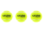 Drei gelbe Padelbälle mit der Aufschrift „HEAD PADEL TEAM“ auf schwarzem Hintergrund.