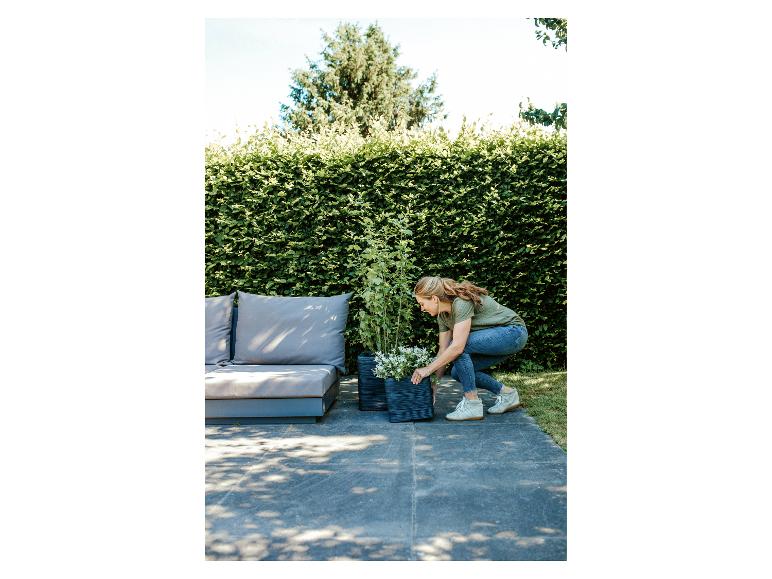 Frau in Jeans und grünem T-Shirt verschiebt Pflanzgefäße mit Pflanzen und weißen Blumen auf einer Terrasse.