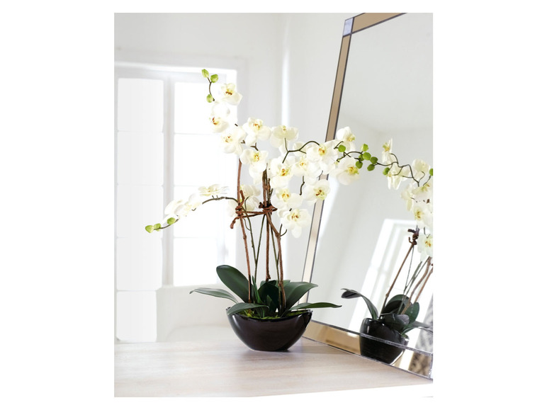 Gehe zu Vollbildansicht: Pureday Kunstpflanze »Orchideentopf«, täuschend echt - Bild 9