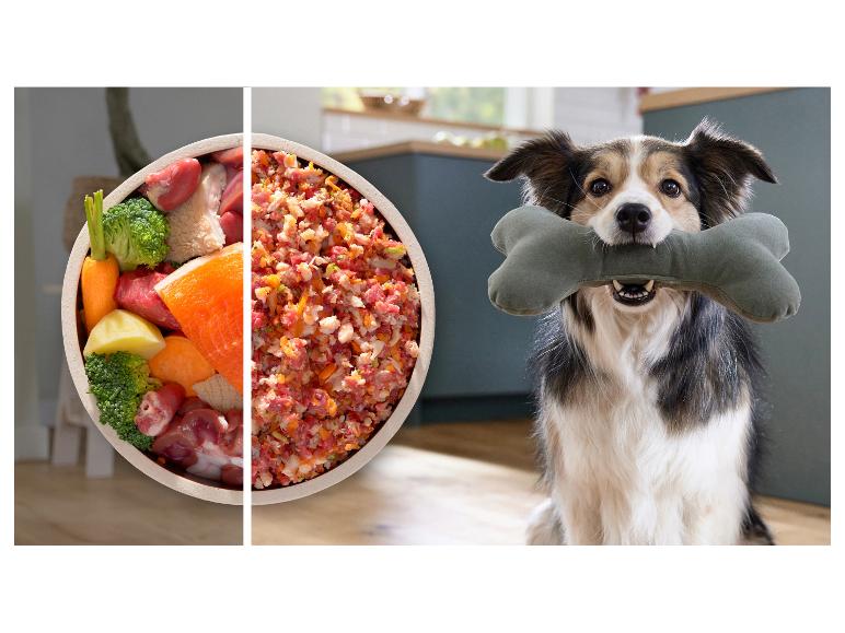 Hundefutter: rohe Zutaten und Hackfleischmischung, mit einem glücklichen Hund, der ein Knochenspielzeug hält.