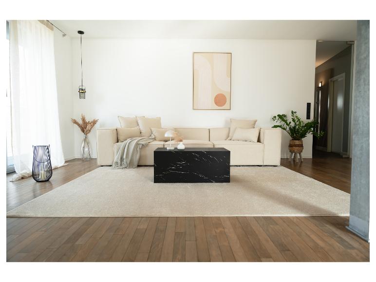 Modernes Wohnzimmer mit beigem Sofa, schwarzem Couchtisch und hellem Teppich.