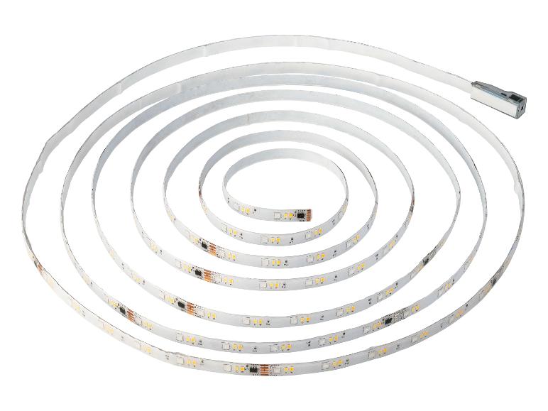 Aufgerolltes LED-Band mit warmweißen und kaltweißen Dioden, bereit zur Installation.