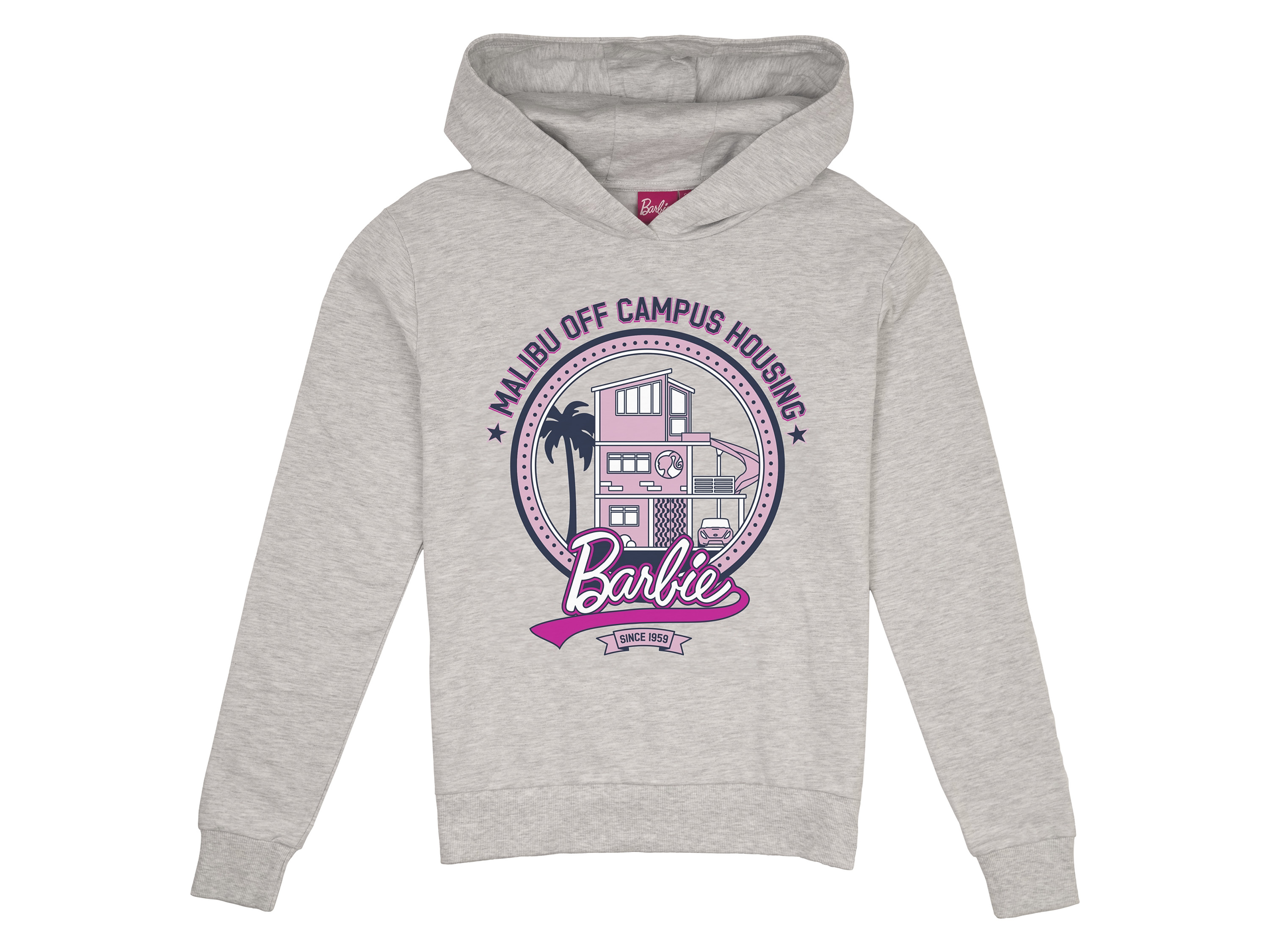 Barbie Damen Hoodie (Grau, L) | 05056688532345