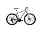 Graues Mountainbike mit grünen Akzenten und Federung