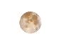 Vollmond mit sichtbaren Kratern und Meeren vor weißem Hintergrund