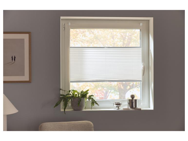 Fenster mit weißem Plissee, Topfpflanze und Dekoartikeln auf der Fensterbank.
